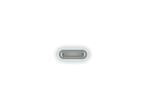 Apple USB-C to Apple Pencil Adapter - South Port™