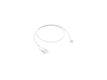 Load image into Gallery viewer, Apple Lightning to USB Cable - South Port™